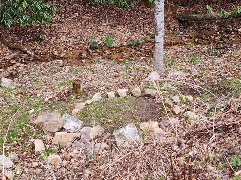 1544 Shingletown Road Mountain City Tn 37683, Mountain City, TN 37683 photo 15