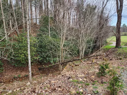 1544 Shingletown Road Mountain City Tn 37683, Mountain City, TN 37683 photo 13