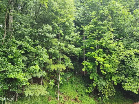 1544 Shingletown Road Mountain City Tn 37683, Mountain City, TN 37683 photo 26