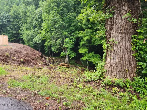 1544 Shingletown Road Mountain City Tn 37683, Mountain City, TN 37683 photo 27