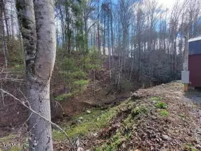1544 Shingletown Road Mountain City Tn 37683, Mountain City, TN 37683 photo 17