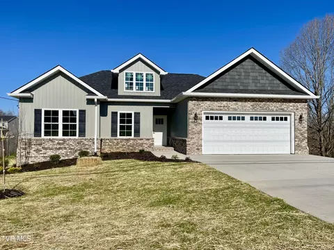 225 Old Stage Road Gray Tn 37615, Gray, TN 37615