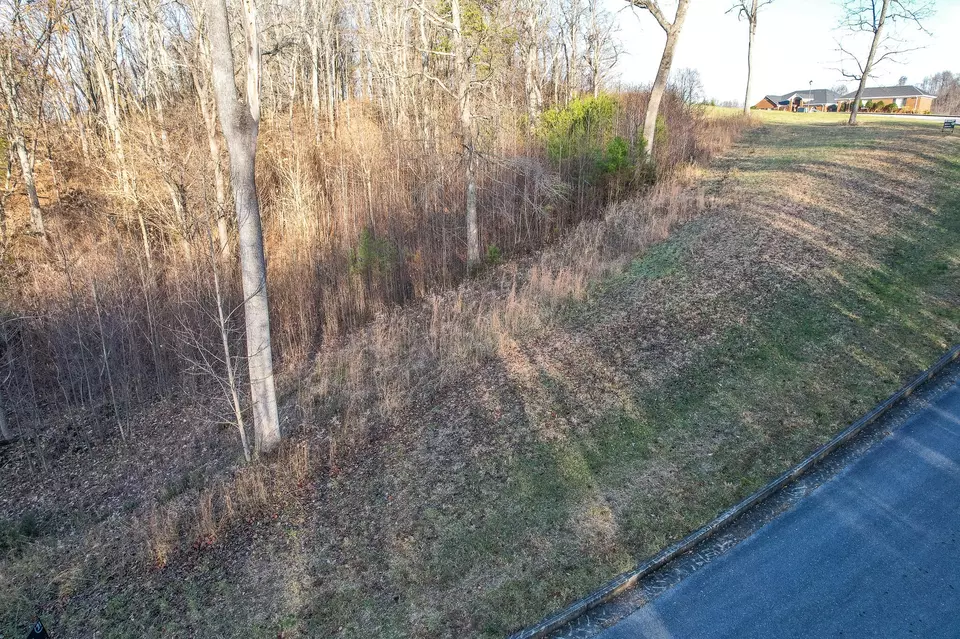  865 Chimney Top Lane Lane Chuckey Tn 37641, Chuckey, TN 37641 photo 2