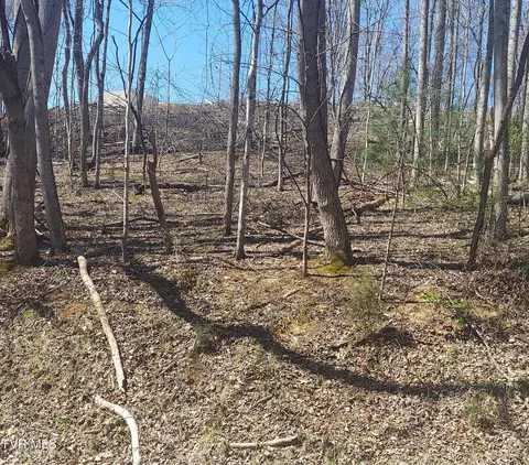 lot181 Ox Bow Rd Unicoi Tn 37692, Unicoi, TN 37692