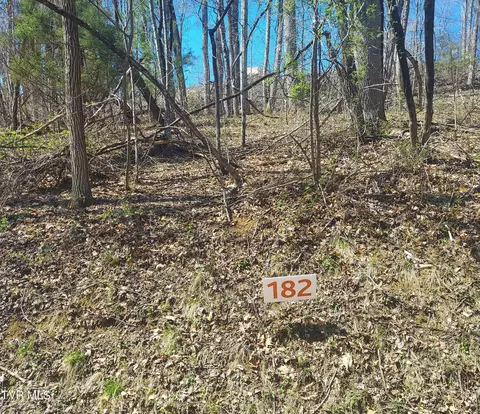 lot182 Ox Bow Ave Unicoi Tn 37692, Unicoi, TN 37692