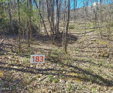 183 Ox Bow Unicoi Tn 37692, Unicoi, TN 37692
