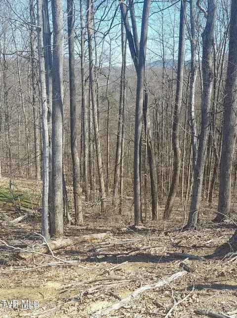lot76 Golf Course Road Unicoi Tn 37692, Unicoi, TN 37692