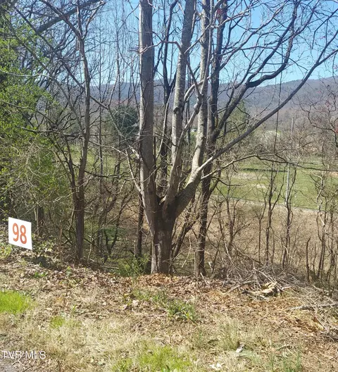 98 Country Club Drive Unicoi Tn 37692, Unicoi, TN 37692