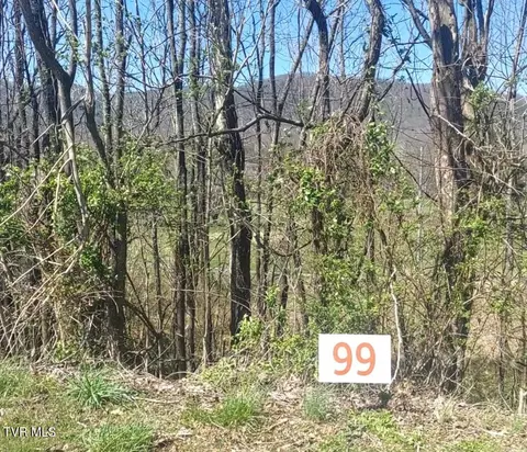 lot99 Country Club Drive Unicoi Tn 37692, Unicoi, TN 37692