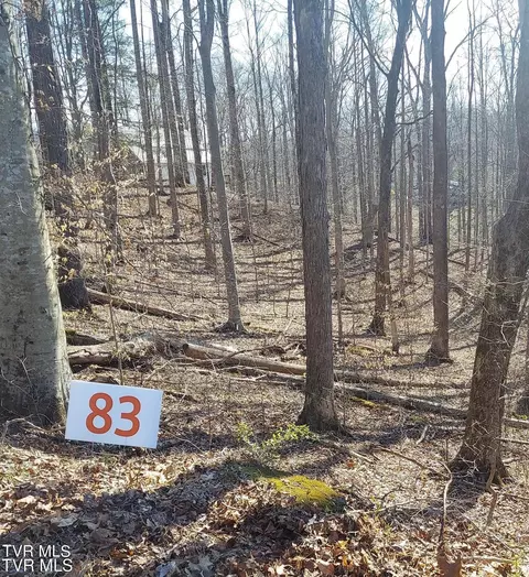 lot83 Golf Course Road Unicoi Tn 37692, Unicoi, TN 37692