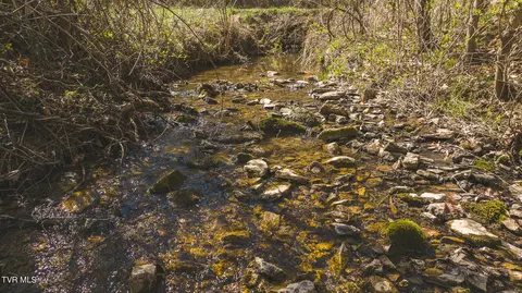 15 65 Acre Willis Chapel Road Kyles Ford Tn 37765, Kyles Ford, TN 37765