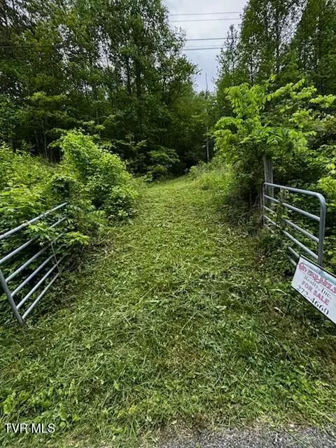 00 Early Branch Road Rogersville Tn 37857, Rogersville, TN 37857