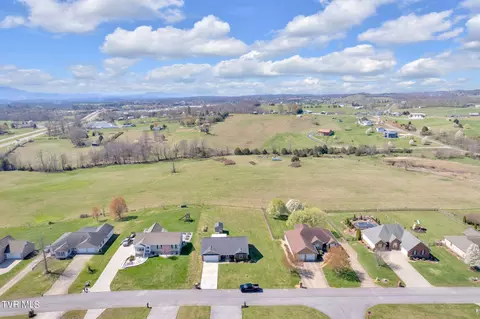 View/Area - 155 Willow Ridge Drive Chuckey Tn 37641, Chuckey, TN 37641 photo 3 of 9