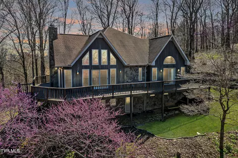207 Buffalo Ridge Road Gray Tn 37615, Gray, TN 37615