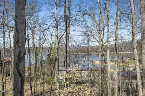 View/Area - 138 Madelyn Street Street Gray Tn 37615, Gray, TN 37615 photo 2 of 5