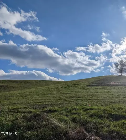 159 Tom Lewis Road Limestone Tn 37681, Limestone, TN 37681