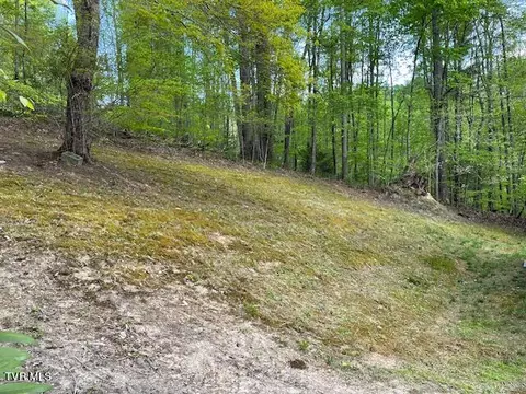 View/Area - 351 Fishery Loop Road Erwin Tn 37650, Erwin, TN 37650 photo 2 of 3