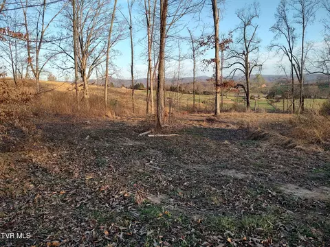 lot16 Allenwood Drive Surgoinsville Tn 37873, Surgoinsville, TN 37873