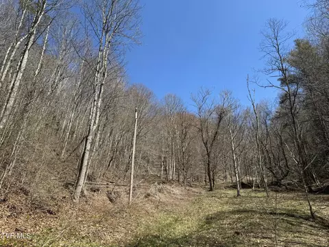 00 Tiger Creek Roan Mountain Tn 37687, Roan Mountain, TN 37687