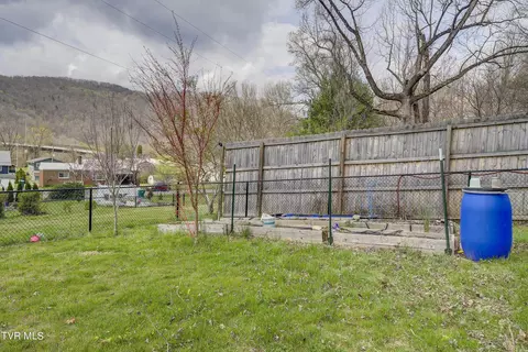 View/Area - 733 N Elm Avenue Erwin Tn 37650, Erwin, TN 37650 photo 1 of 2