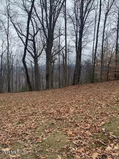 View/Area - 10820 Coeburn Mountain Road Wise Va 24293, Wise, VA 24293 photo 1 of 1
