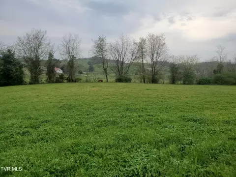 330 Cannon Road Limestone Tn 37681, Limestone, TN 37681 photo 7
