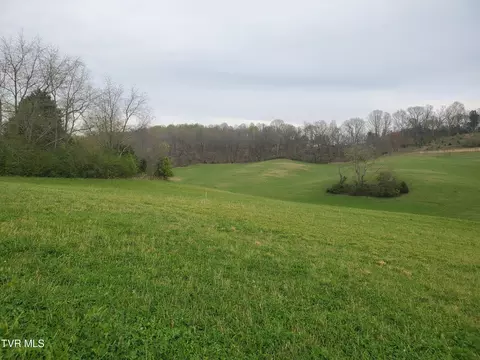 330 Cannon Road Limestone Tn 37681, Limestone, TN 37681