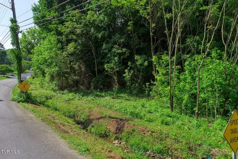 tbd Tuggle Hill Road Rogersville Tn 37857, Rogersville, TN 37857