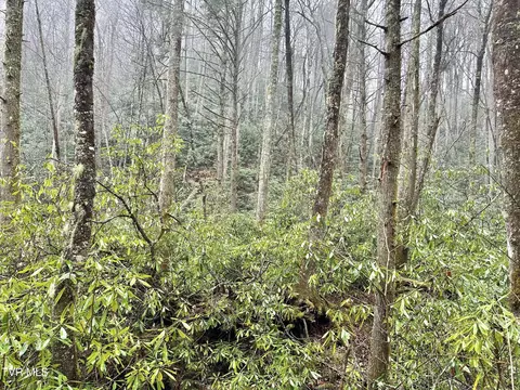 lot2 3-4 Heaton Branch Road Butler Tn 37640, Butler, TN 37640