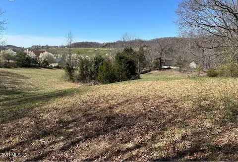 163 Lancaster Road Kingsport Tn 37663, Kingsport, TN 37663