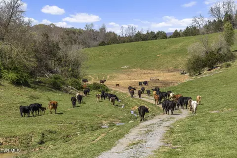 1011 Mill Creek Road Kingsport Tn 37664, Kingsport, TN 37664