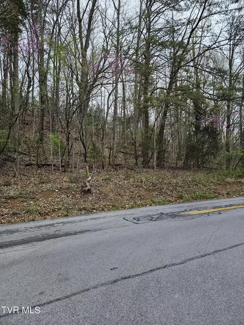 tbd Sumpter Road Kingsport Tn 37663, Kingsport, TN 37663