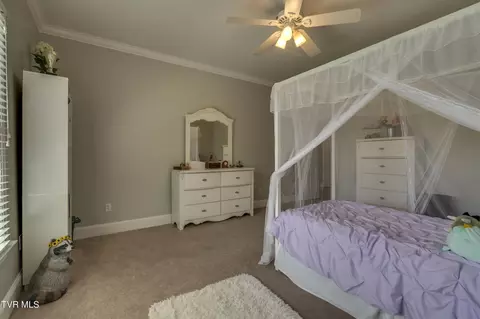 Bedroom - 1021 Willows Trace Drive Johnson City Tn 37601, Johnson City, TN 37601 photo 7 of 17