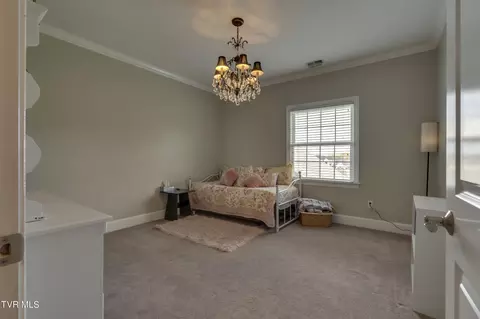 Other - 1021 Willows Trace Drive Johnson City Tn 37601, Johnson City, TN 37601 photo 4 of 8