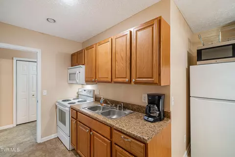 Other - 241 E Ridges Drive Drive Chuckey Tn 37641, Chuckey, TN 37641 photo 5 of 13