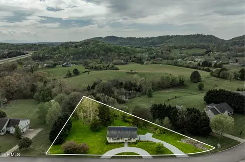 View/Area - 241 E Ridges Drive Drive Chuckey Tn 37641, Chuckey, TN 37641 photo 3 of 13
