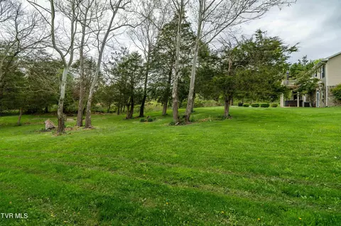 View/Area - 241 E Ridges Drive Drive Chuckey Tn 37641, Chuckey, TN 37641 photo 13 of 13