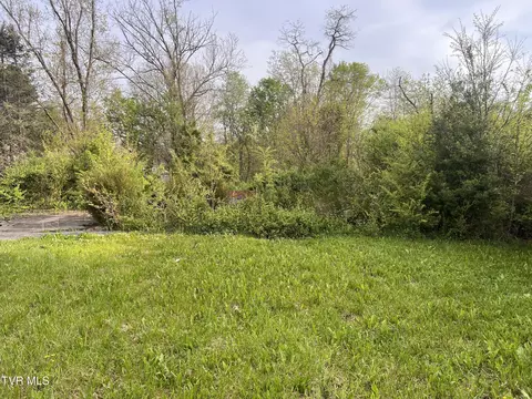 230 Cedar Lane Johnson City Tn 37615, Johnson City, TN 37615