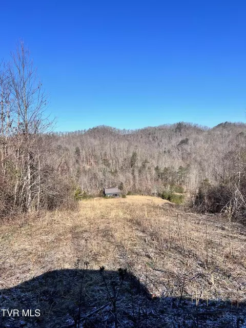 Tract 2 Bundren Mountain Road, Tazewell, TN 37879