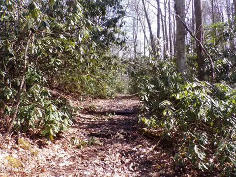 tbd Hwy 133 Shady Valley Tn 37688, Shady Valley, TN 37688