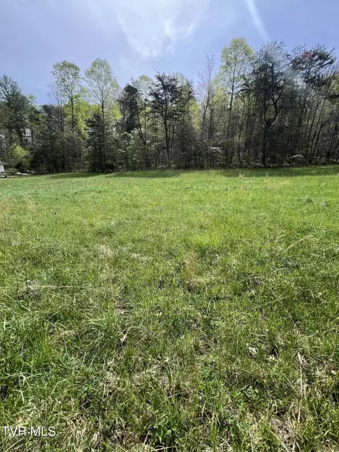 tbd Minton Hollow Road Elizabethton Tn 37643, Elizabethton, TN 37643