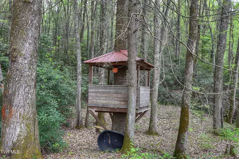 Other - 434 Roaring Creek Road Chuckey Tn 37641, Chuckey, TN 37641 photo 7 of 8