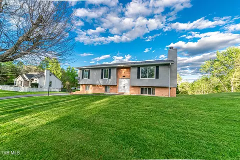 298 Free Hill Road Gray Tn 37615, Gray, TN 37615