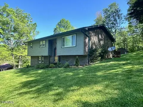 186 Telford Road Telford Tn 37690, Telford, TN 37690