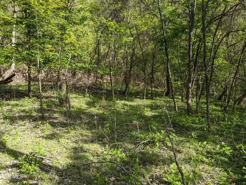514 E Aesque Street Kingsport Tn 37665, Kingsport, TN 37665