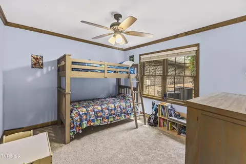 3 Chaucer Court Gray Tn 37615, Gray, TN 37615 photo 34