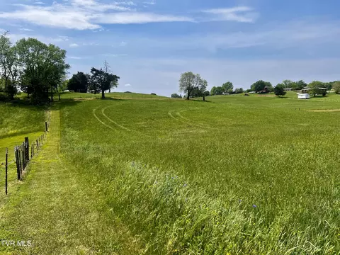tbd Unaka Drive Lot 10 Mosheim Tn 37818, Mosheim, TN 37818