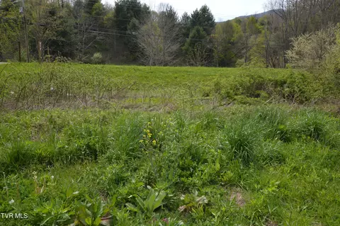 lot1 Highway 421 Trade Tn 37691, Trade, TN 37691