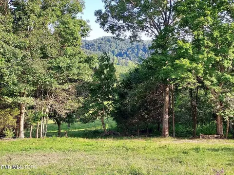 tbd Trents Chapel Lot 3 Road Sneedville Tn 37869, Sneedville, TN 37869