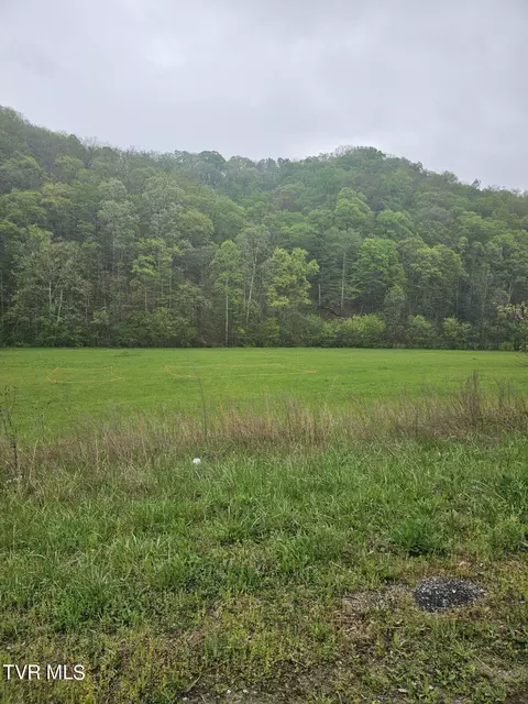 2132 Van Hill Road Greeneville Tn 37745, Greeneville, TN 37745